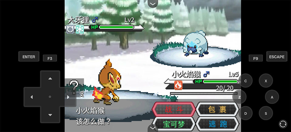 宝可梦Z