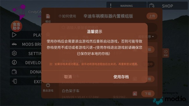 辛迪车祸模拟器中文版