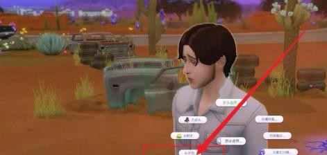 模拟人生4中文版16