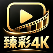 臻彩4K 10.1 安卓版