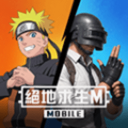 PUBG Mobile国际服 4.6.0 官方版