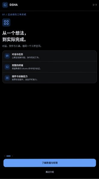 DSHA截图
