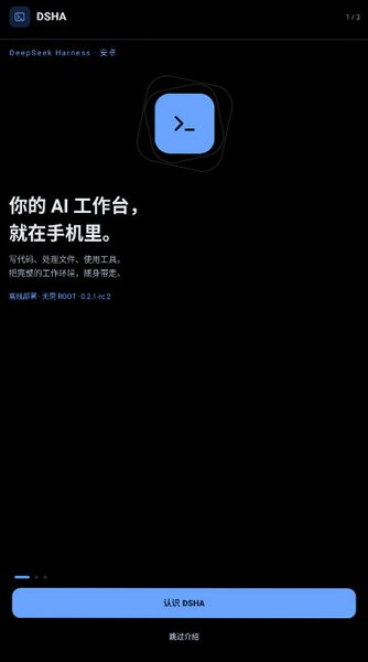 DSHA截图