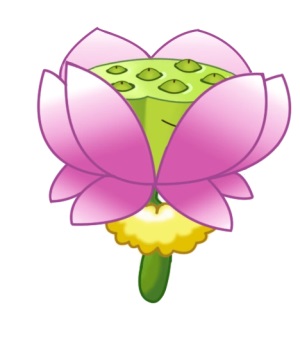 植物大战僵尸远征版